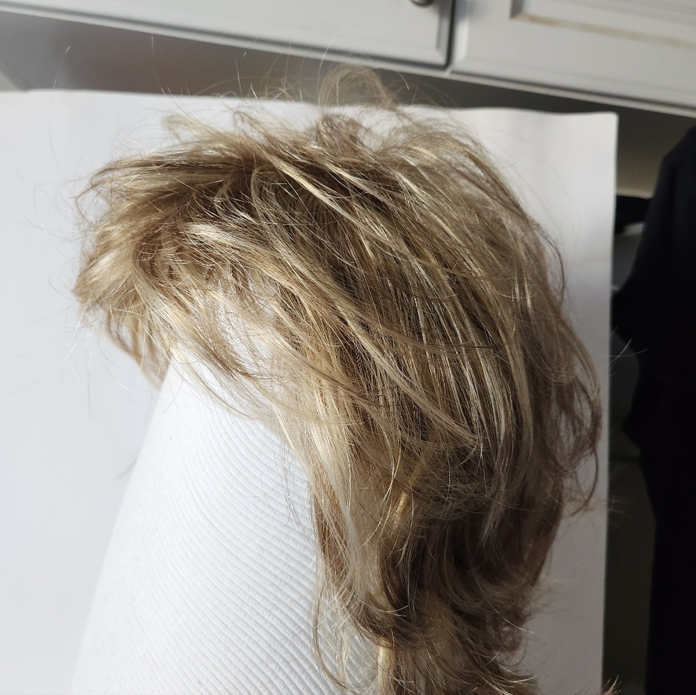 Estetica Angela Wig R12 26CH New in Box GOLDEN SHAG - Picture 5 of 9